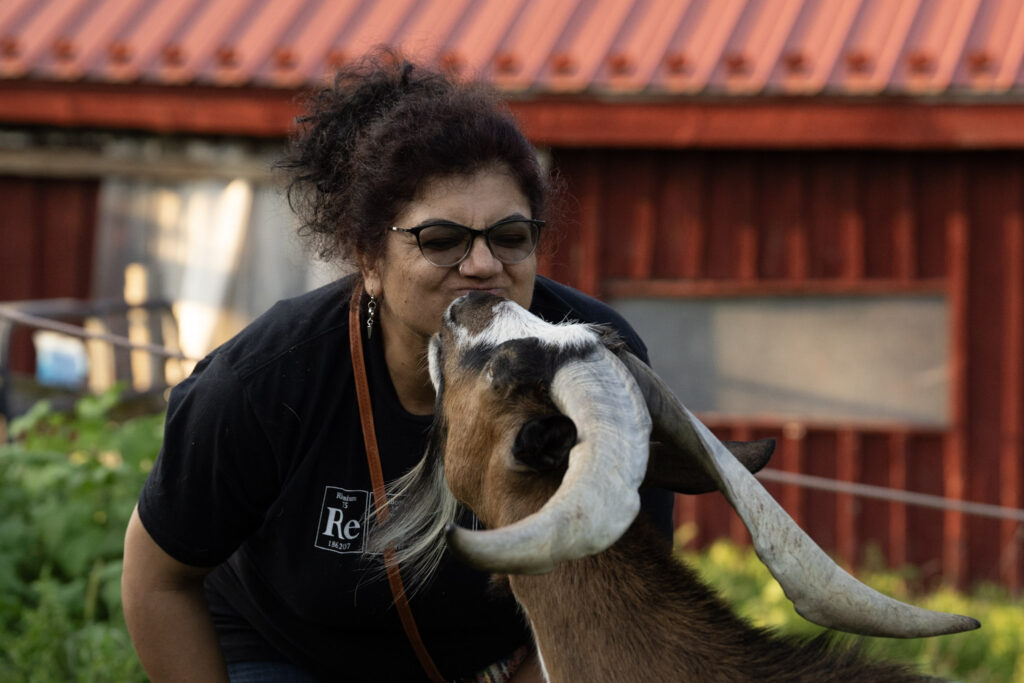 goat kisses
